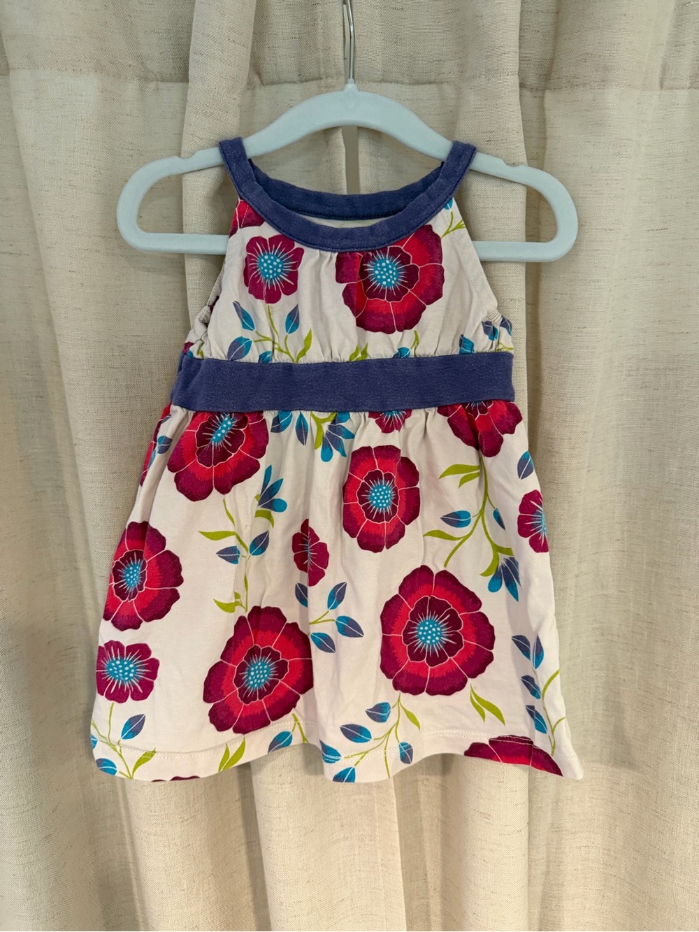 Tea Collection Floral Dress with Blue Trim 6-12 months
